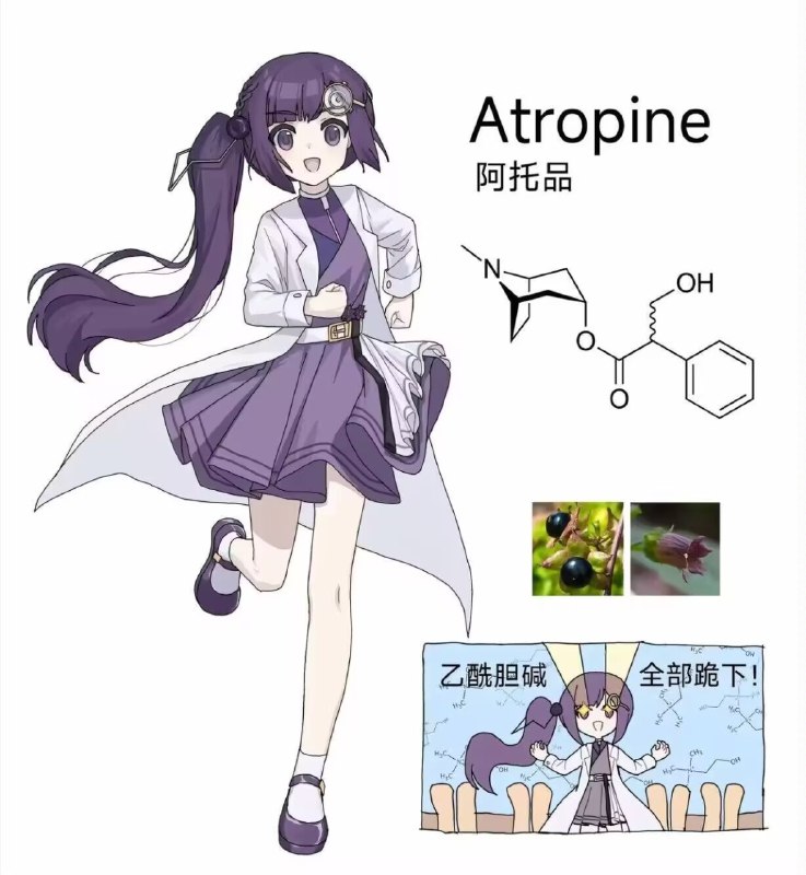 药娘（｡ò ∀ ó｡）药娘（｡ò ∀ ó｡）