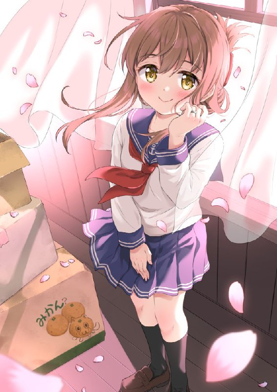 たこやきよし