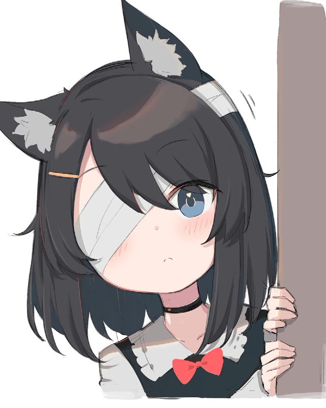 ひょっこりキャット source