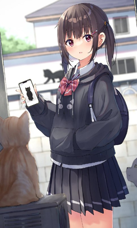 猫探し「この真っ黒の子に会ったことありますか？」 source