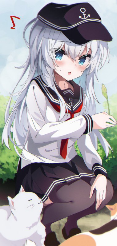 「司令官、見てたのかい？」 source