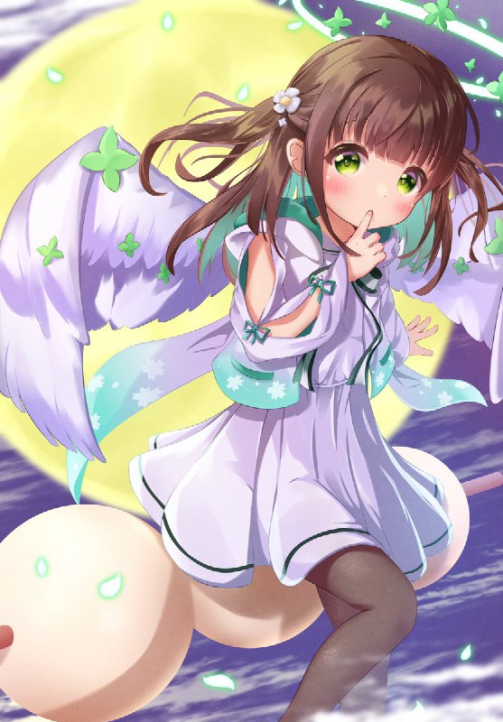 きゅうり🥒