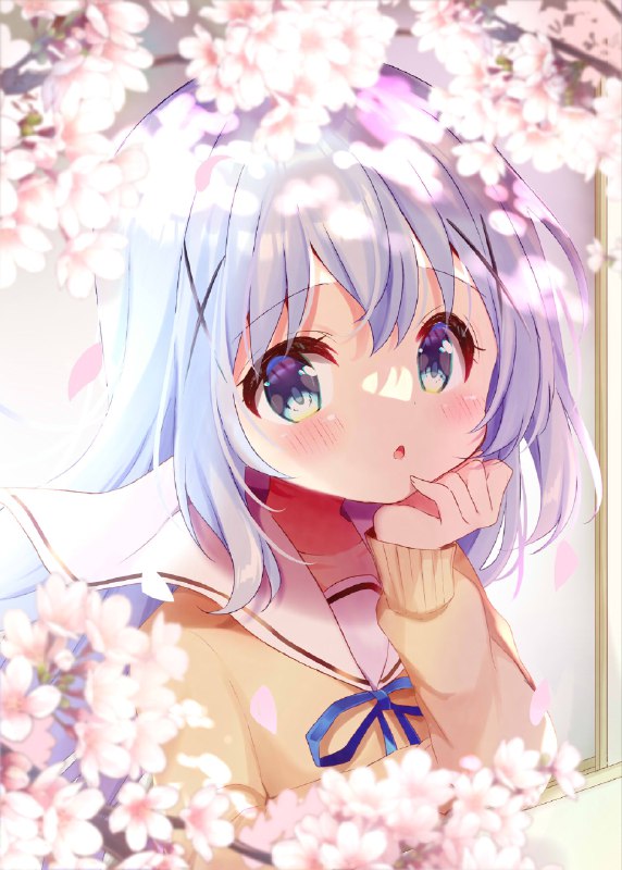 桜とチノちゃん#gochiusa source
