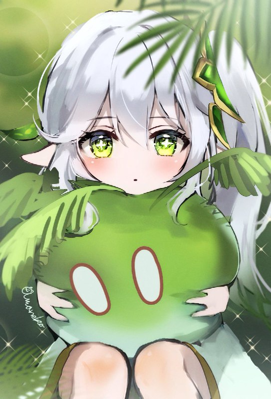 甘猫/amaneko