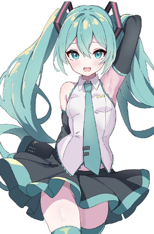 ミクさん source