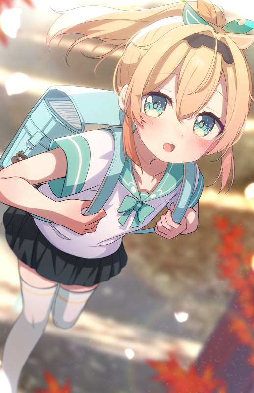 いよかん椛🍊🍁
