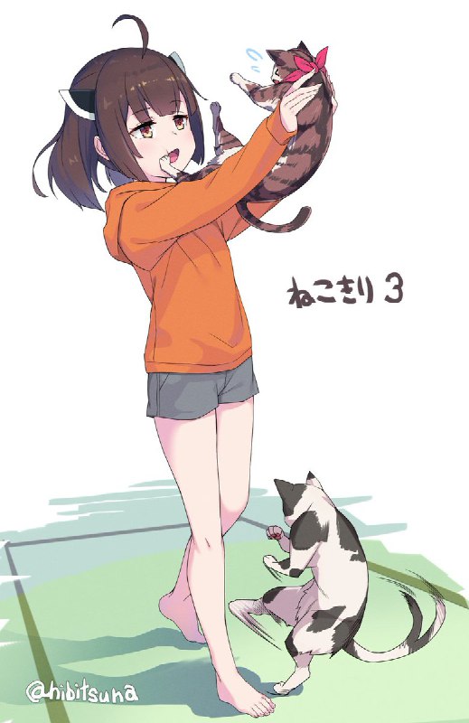 風呂に入りたくない猫VS風呂に入れたいきりたんVSローキック猫 source