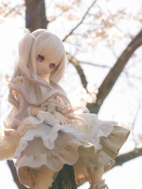 また来年だね#MDDはいいぞ source