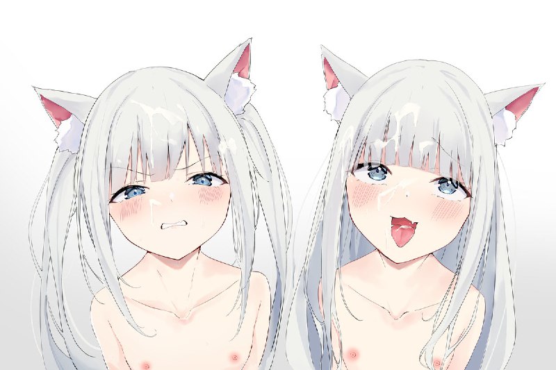 猫🐱 source