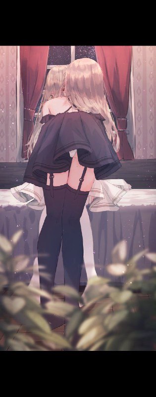 #百合#百合
