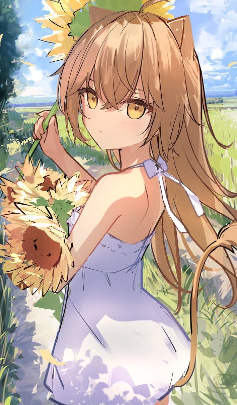 ラ source