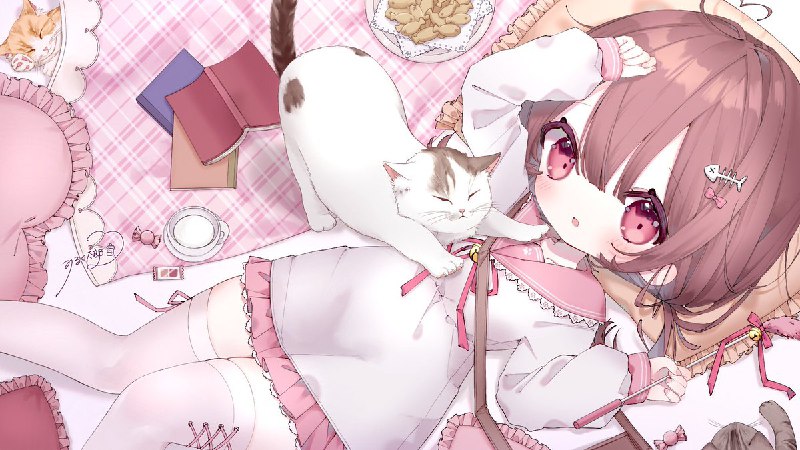 🤍💗🐈💗🤍 source