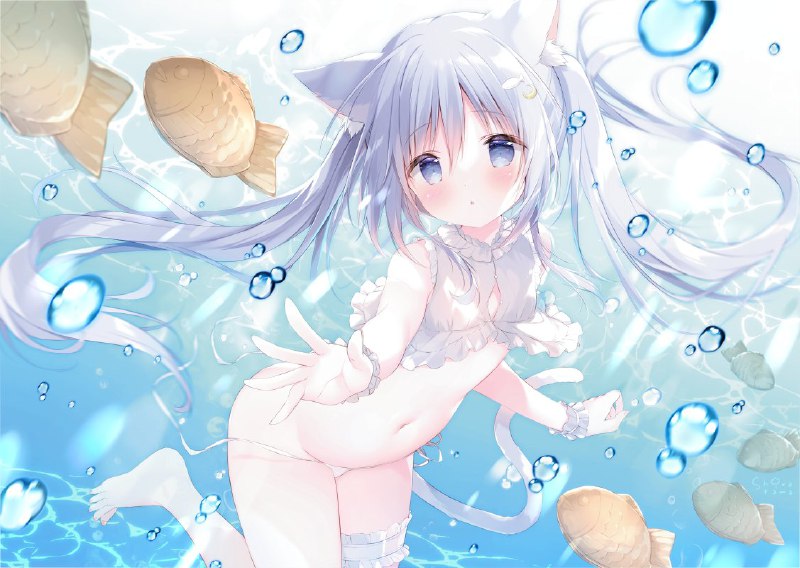 🐈🐟 source
