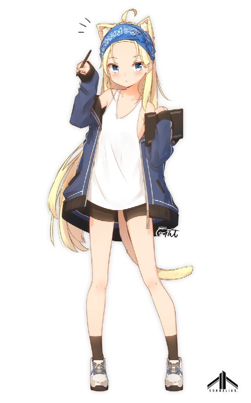 藤原ﾉこーりー🐈