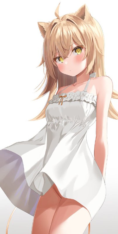 るるどらいおん source