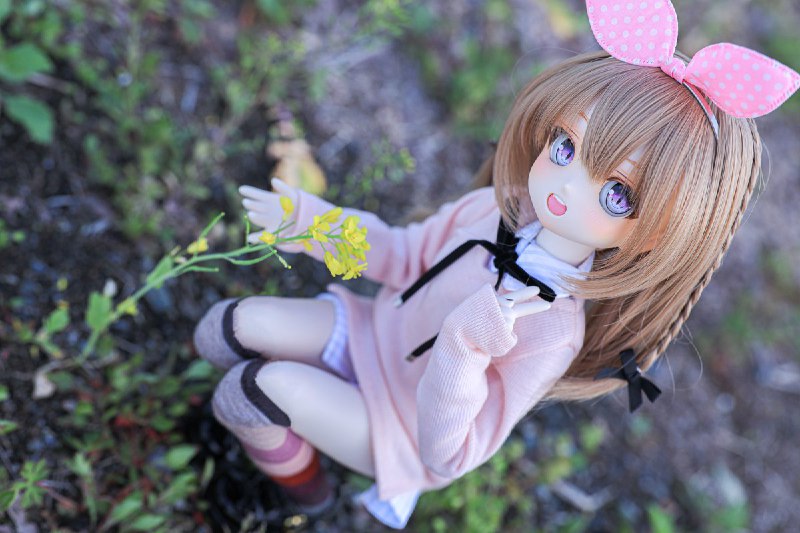 めちゃくちゃかわいいアビーちゃんと菜の花撮れた😍😍#RonshukaCouture#TOAClaris source