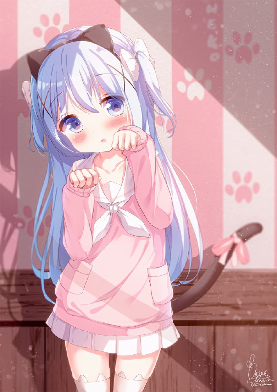 猫チノちゃん🐾 source