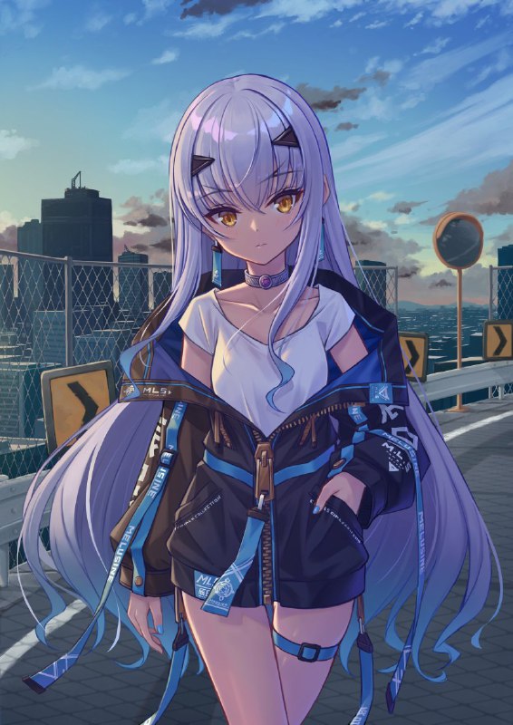 HoODieR(フーディエ) 台湾/FF40/Q33