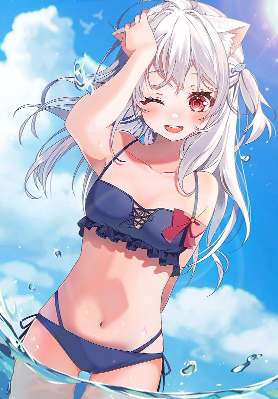 路地裏の猫📛🐾