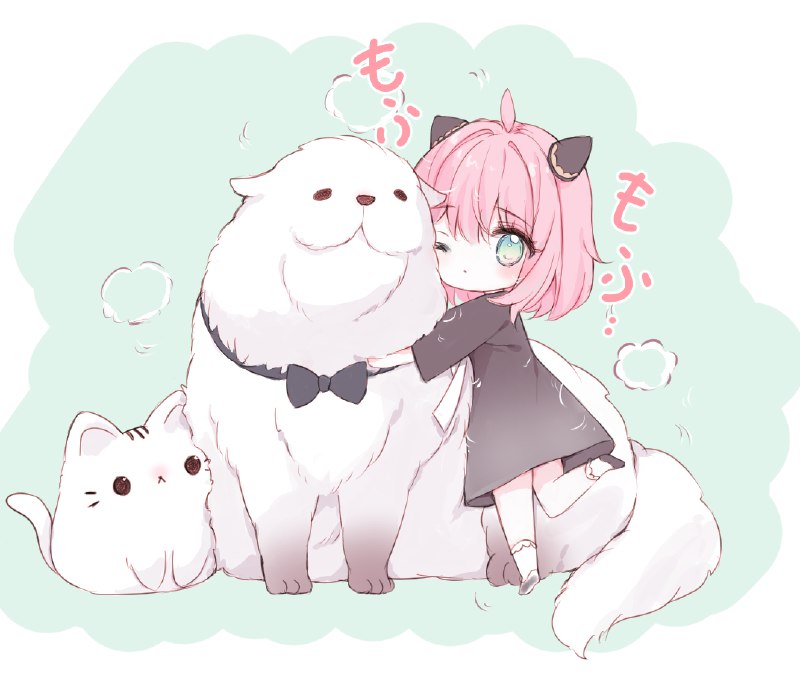もふ