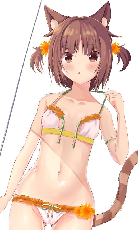 #ネコぱら source