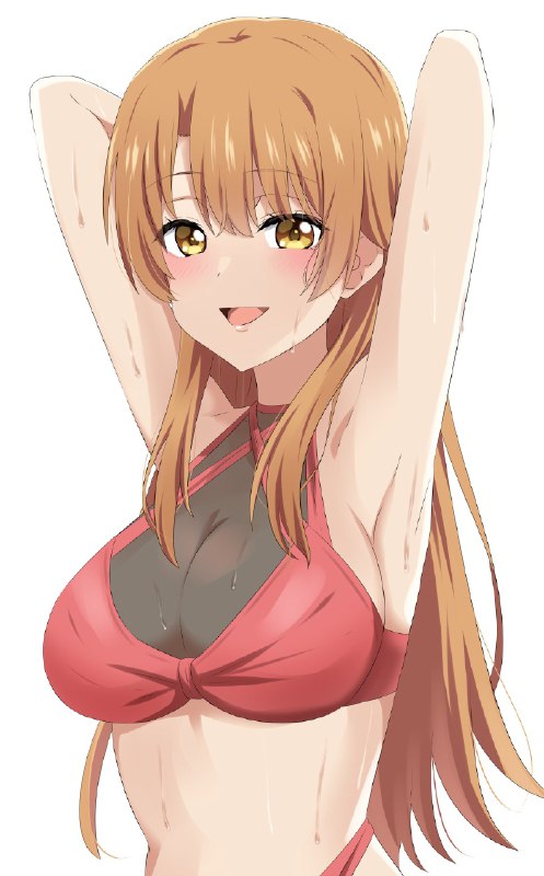 だーす