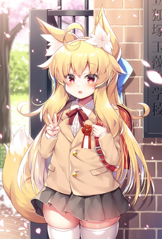 炉心🦊