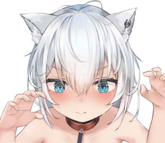 フォロワー感謝祭 / アオイヌ＠お仕事募集中 1/3フォロワー感謝祭 / アオイヌ＠お仕事募集中 1/3