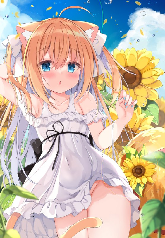 向日葵 / 九条だんぼ