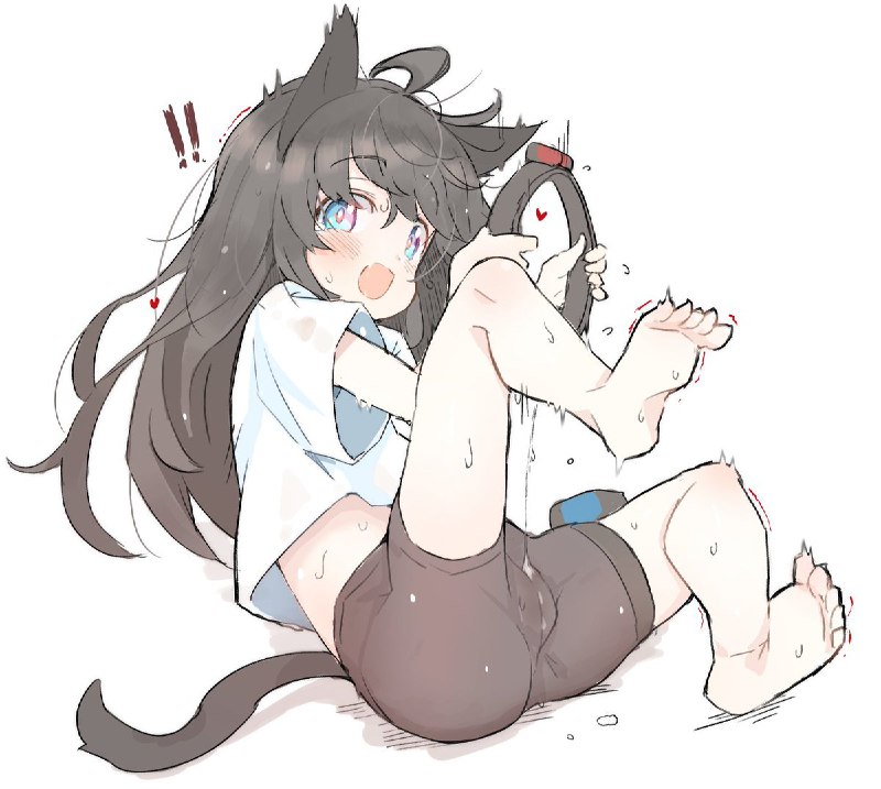 てらね　こす