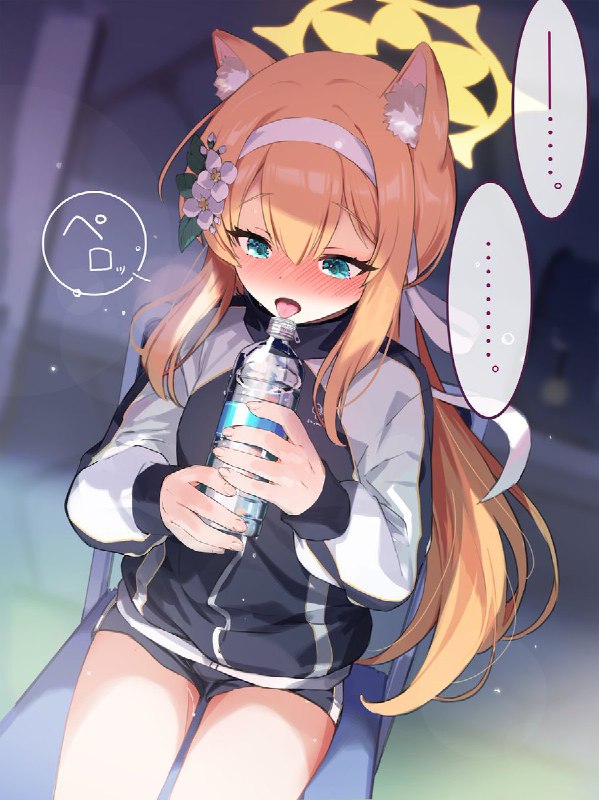 サクマ伺貴@お仕事募集中