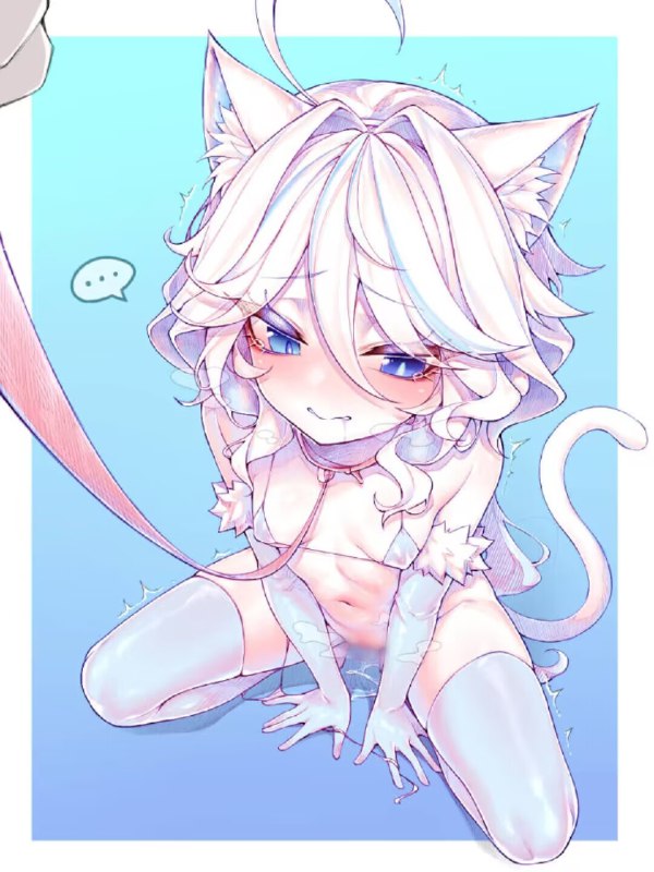 苦怕Kupa