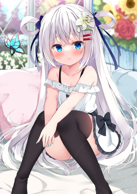 九条だんぼ
