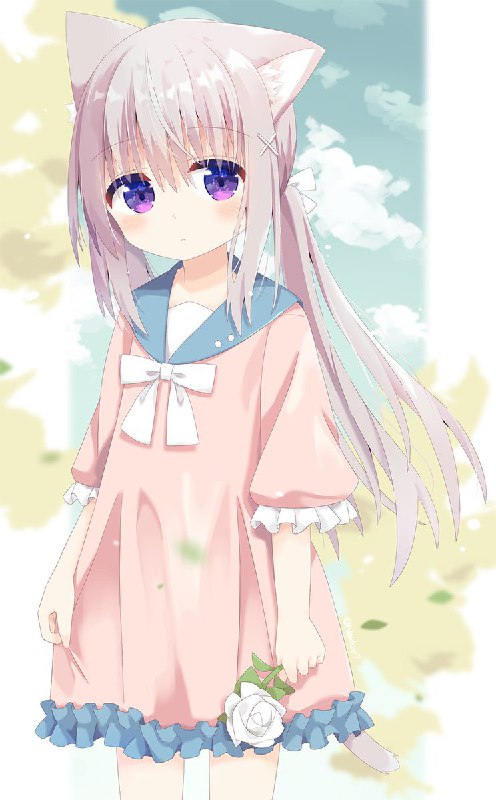  Nakkar(新アカ)⛄C99通販,委託