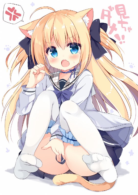 こねこちゃん / 九条だんぼ#オリジナル #セーラー服 #はいてない #涙目 #下脱ぎ #猫耳 #オリジナル7500users入り #ニーソックス