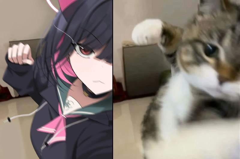 モモカ (@momocadraw)