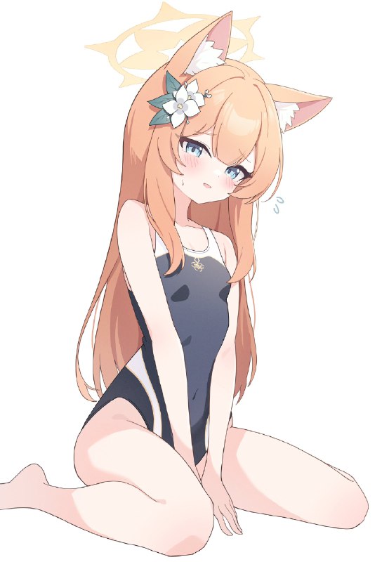 NonDDu