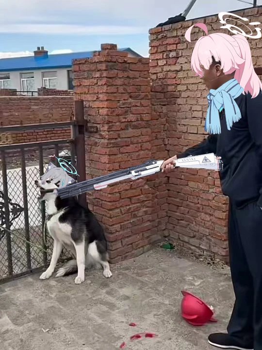 ノラ（NORA） (@ShinosawaNora)