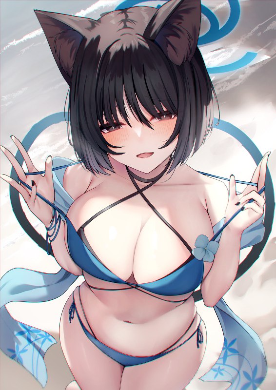 #欲桔梗猫猫