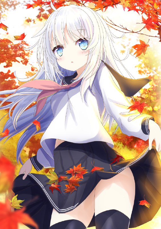 秋紅葉響ちゃん / あるか＠２日目 西 G-25a#女の子 #艦隊これくしょん #艦これ #ヴェールヌイ #響 #秋 #紅葉 #艦これ1000users入り #裾をつまむ