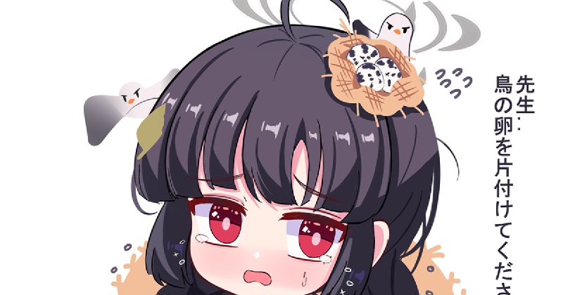 鳥の巣