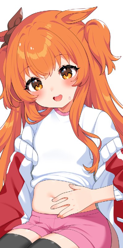 お正月太り マヤ / 犬山ななみ＠お仕事募集中#ウマ娘 #ウマ娘プリティーダービー #マヤノトップガン(ウマ娘)