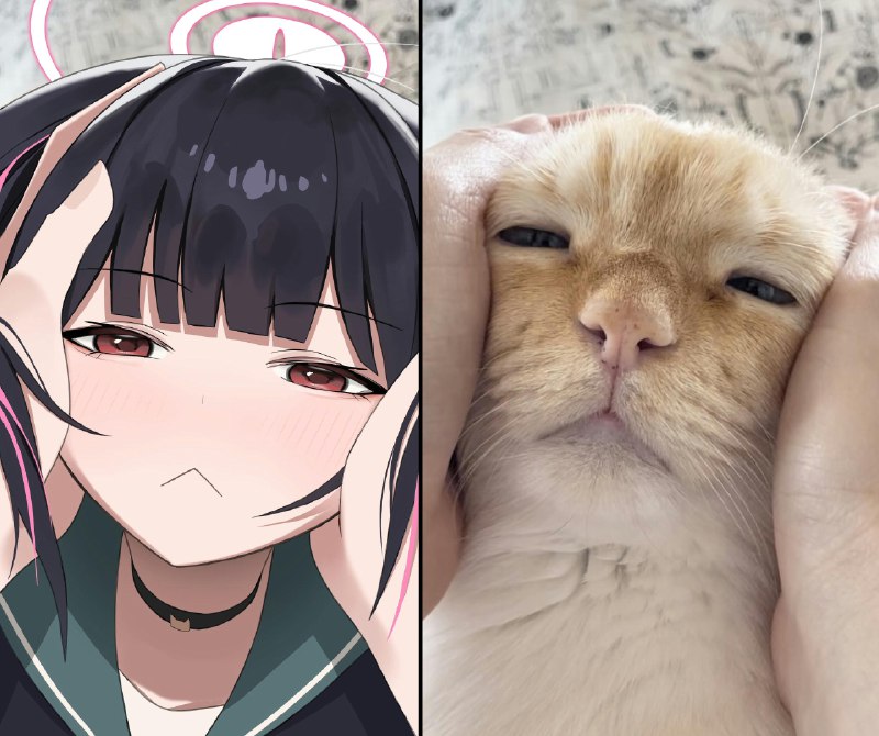 モモカ (@momocadraw)