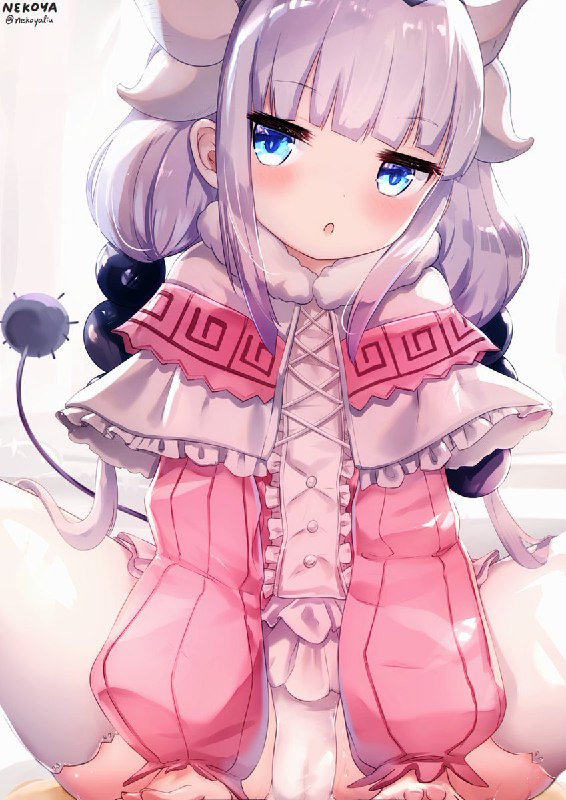 猫屋(NEKOYA)