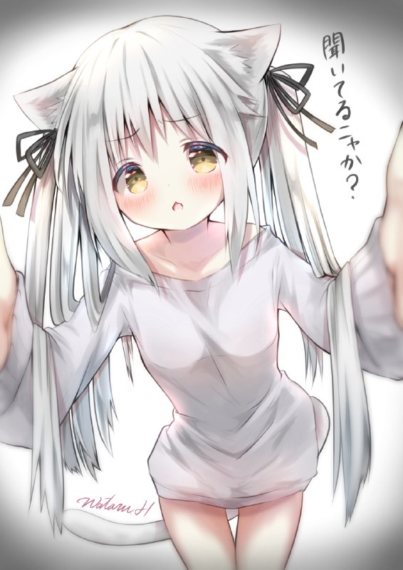 構ってほしい気分屋さん / 星影ワタル#オリジナル #女の子 #猫フェス