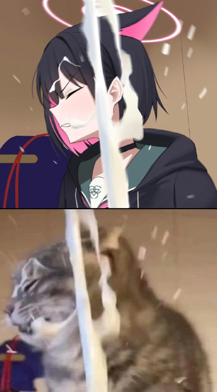 モモカ (@momocadraw)