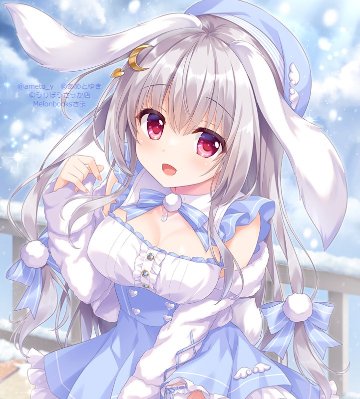 あめとゆき❄12/31東Ａ-14ab⛄