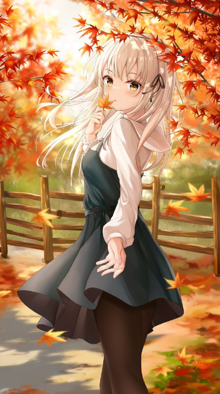 シロクマ
