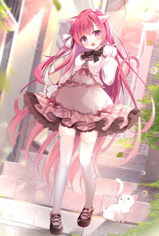 しろきもち🌼*･新刊委託中🍈