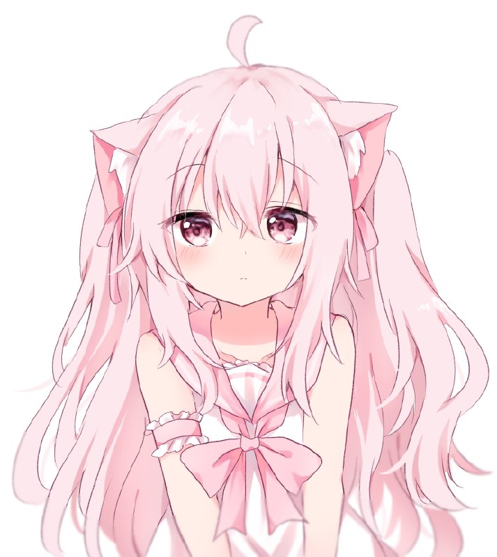  ピンク猫#猫耳 #ピンク髪 #オリジナル #ロリ ピンク猫#猫耳 #ピンク髪 #オリジナル #ロリ